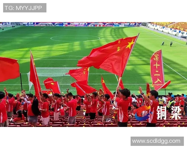 金盾杯足球盛宴开启球迷齐聚共庆激情时刻